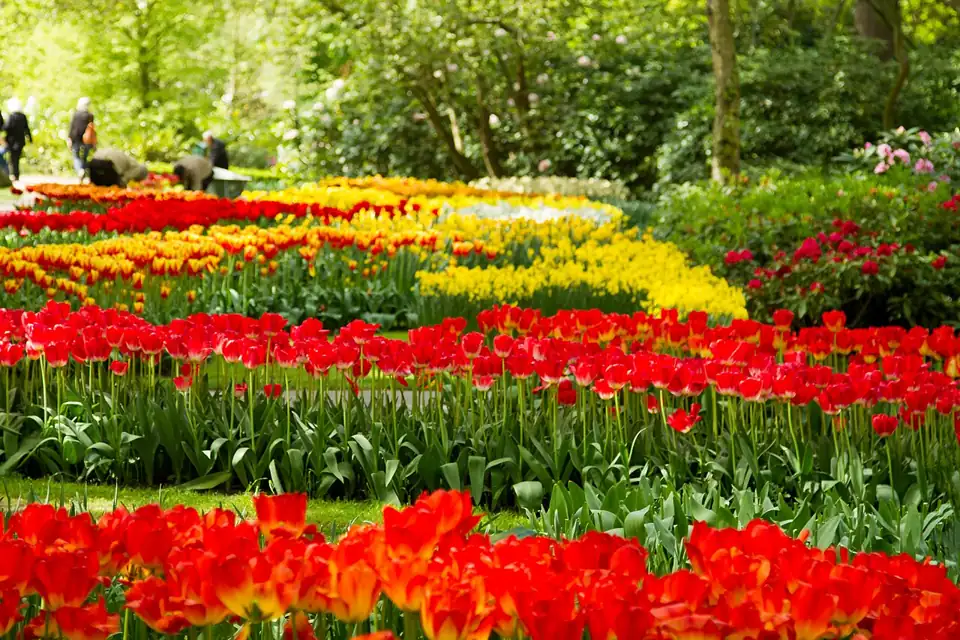 Alphabet Garden