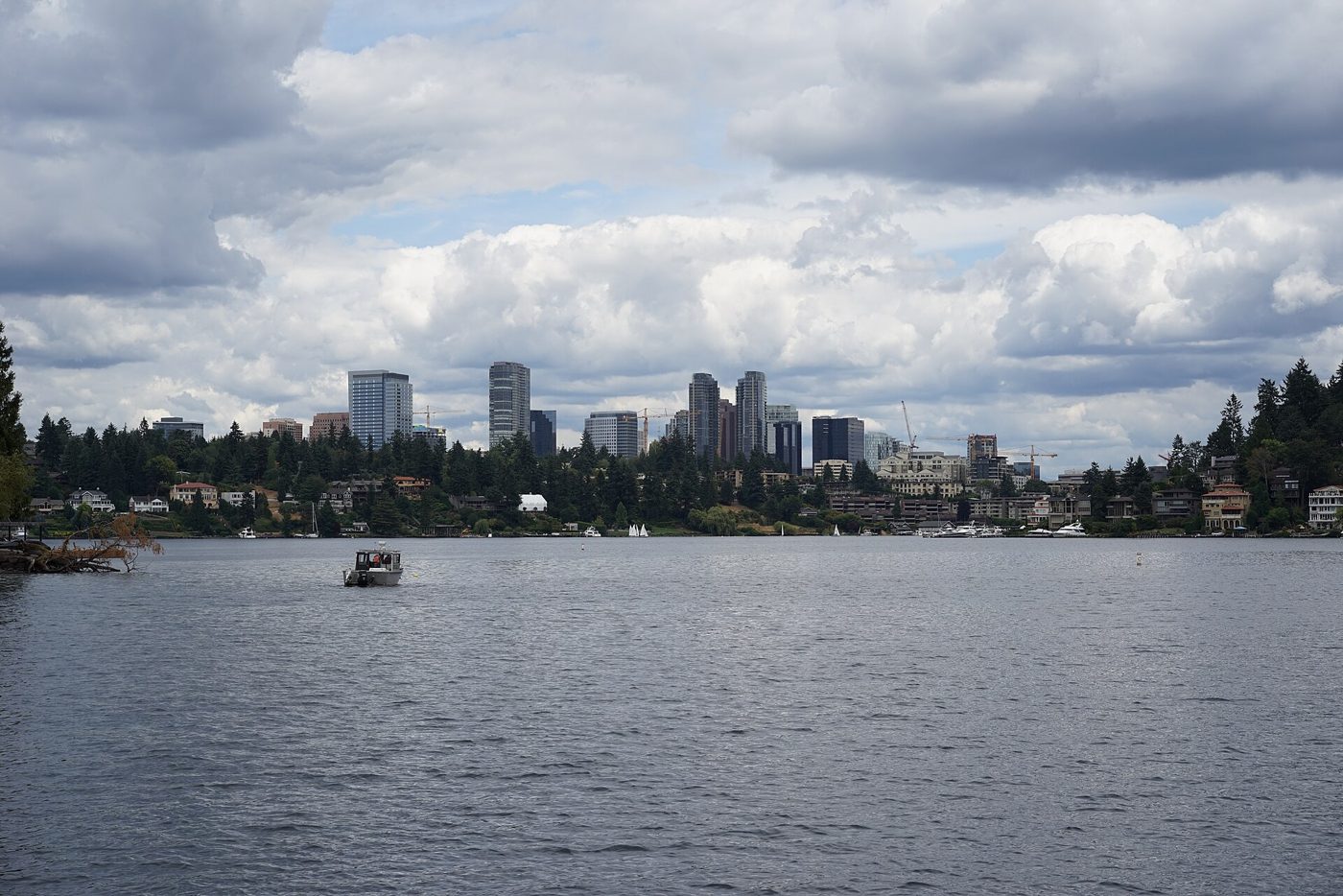 The Bellevue, Wash., skyline seen from Lake Washington
