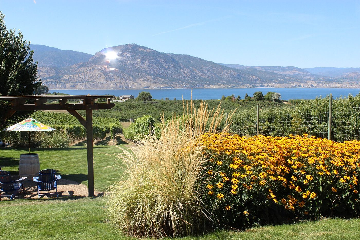 Vineyards on the Naramata Bench in B.C.'s Okanagan