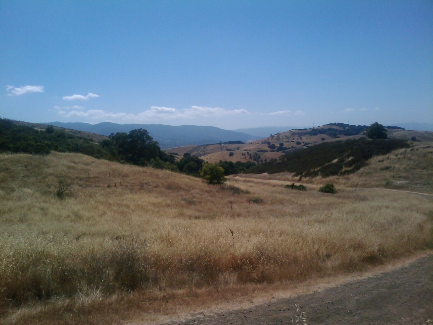 Hills near the IBM Almaden Research Center in San Jose