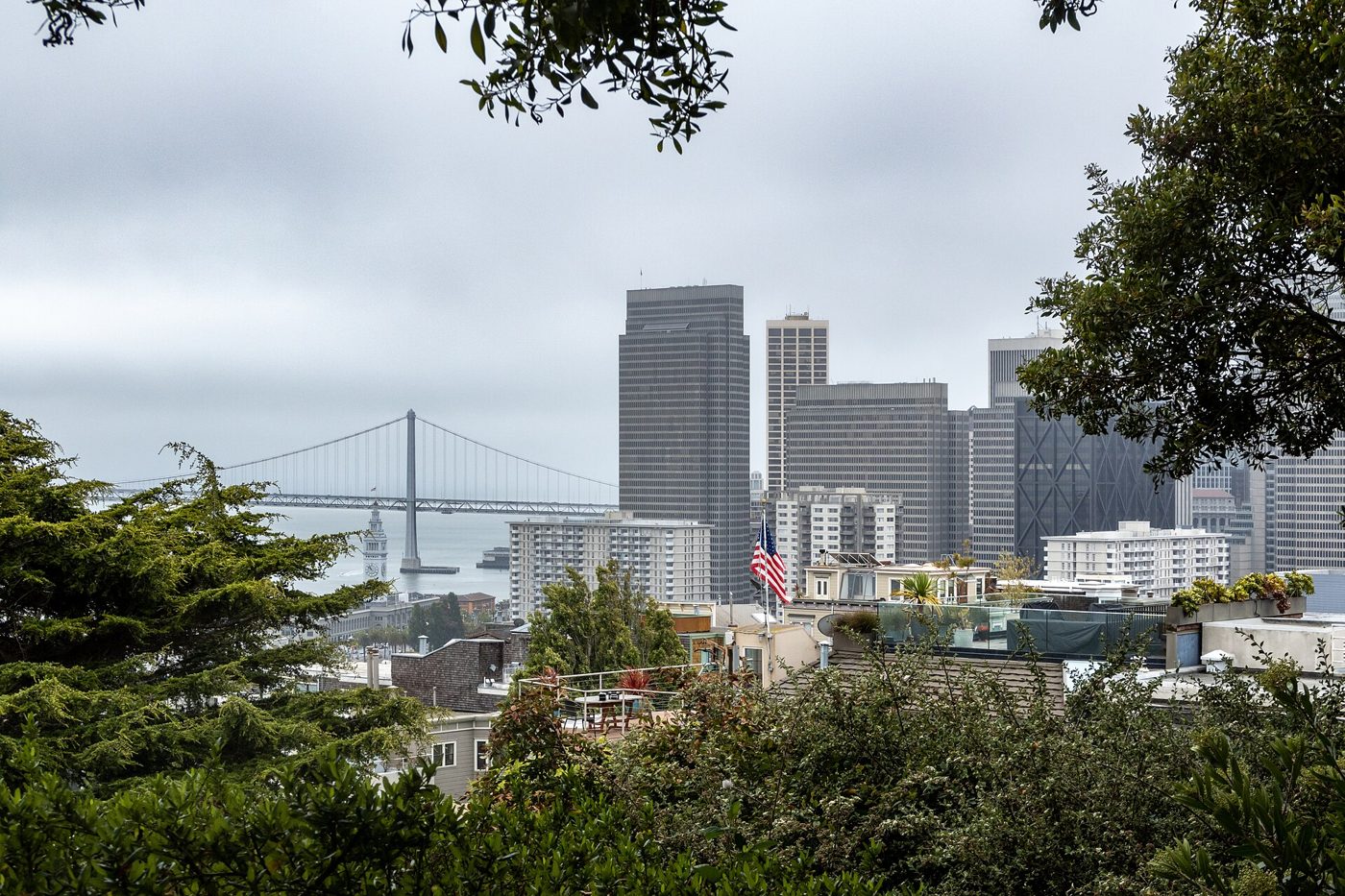 San Francisco's Financial District seen from Pioneer Park