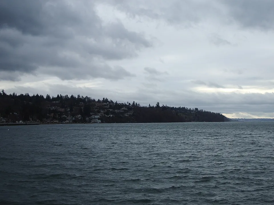 Puget Sound shoreline at Federal Way, Washington