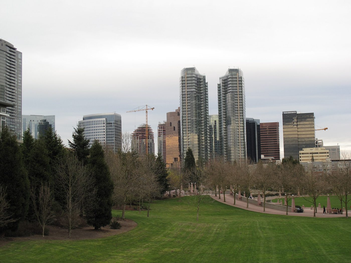 The Bellevue skyline seen from Downtown Park