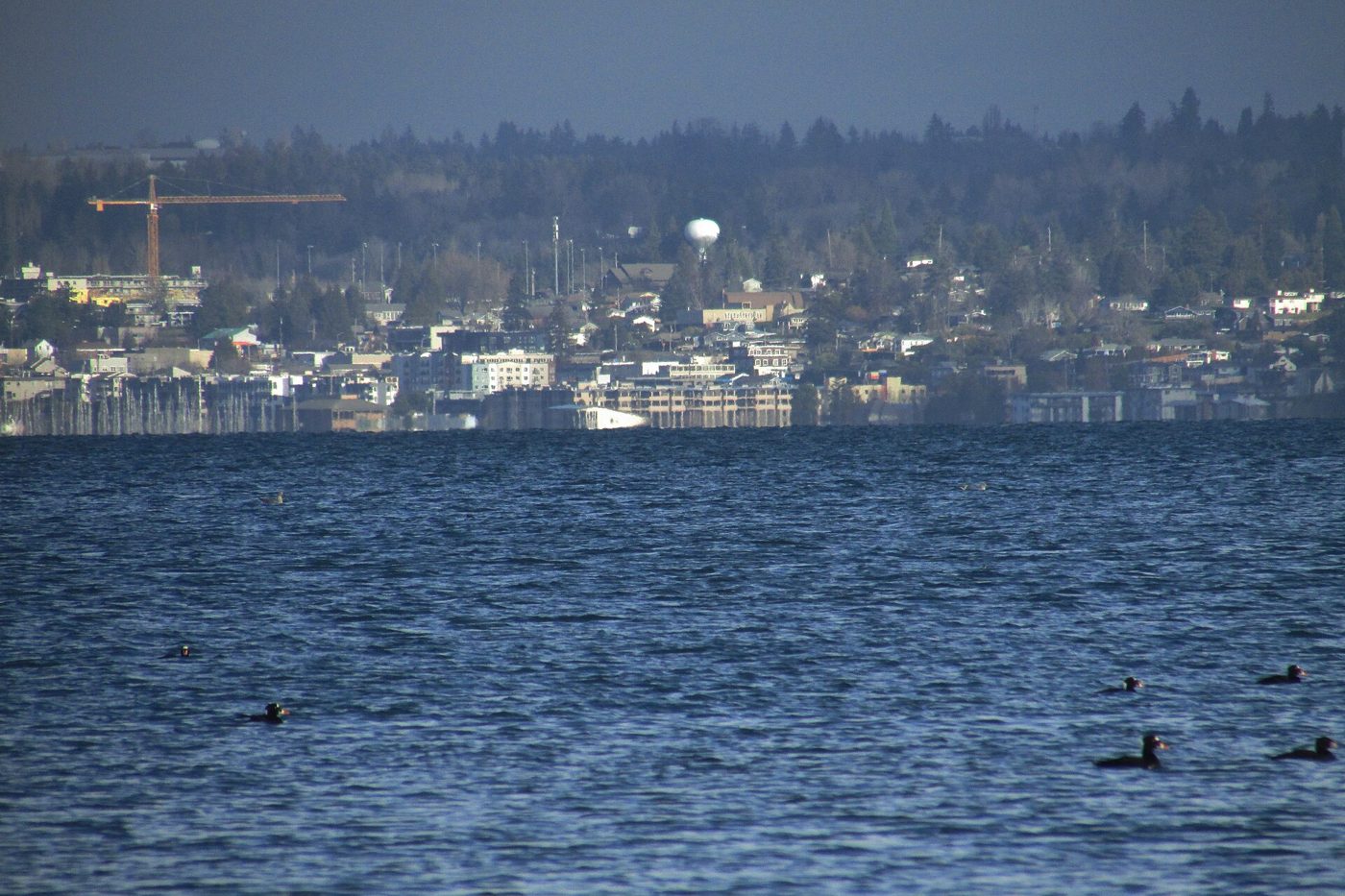Des Moines, Wash., seen from Dumas Bay