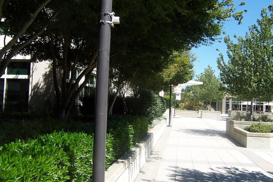 A tree-lined plaza on Microsoft's Redmond campus
