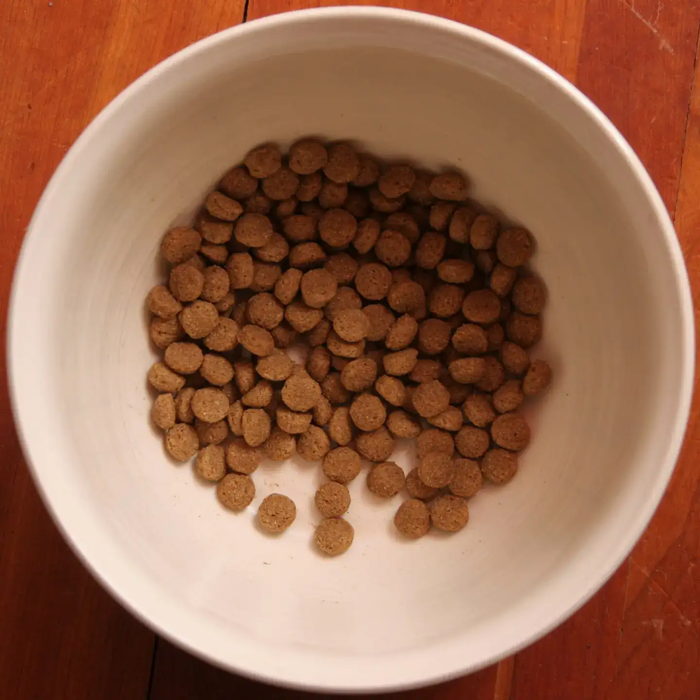 A handmade pottery bowl filled with dry pet food