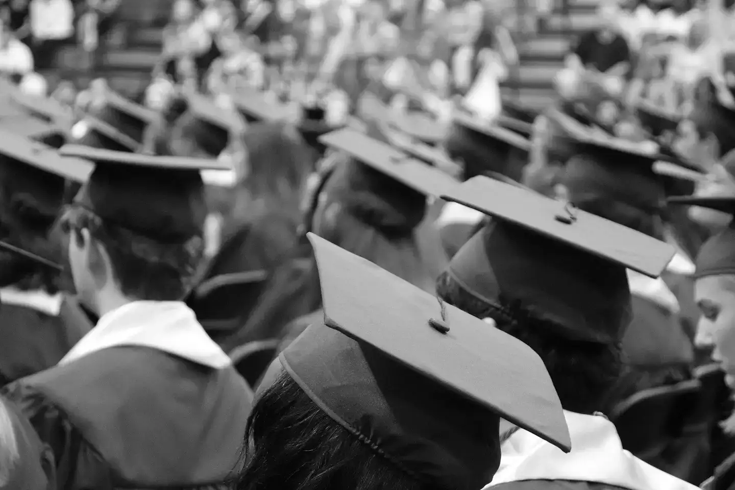 Graduates in academic caps