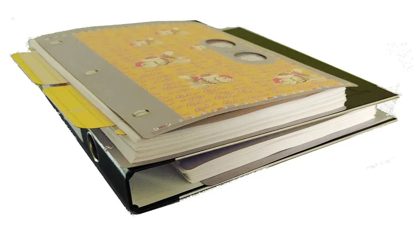 Spineless binder on top of a Ring Binder