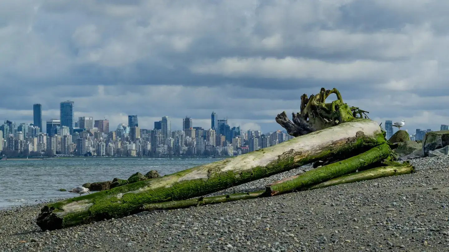 Vancouver skyline from spanish banks