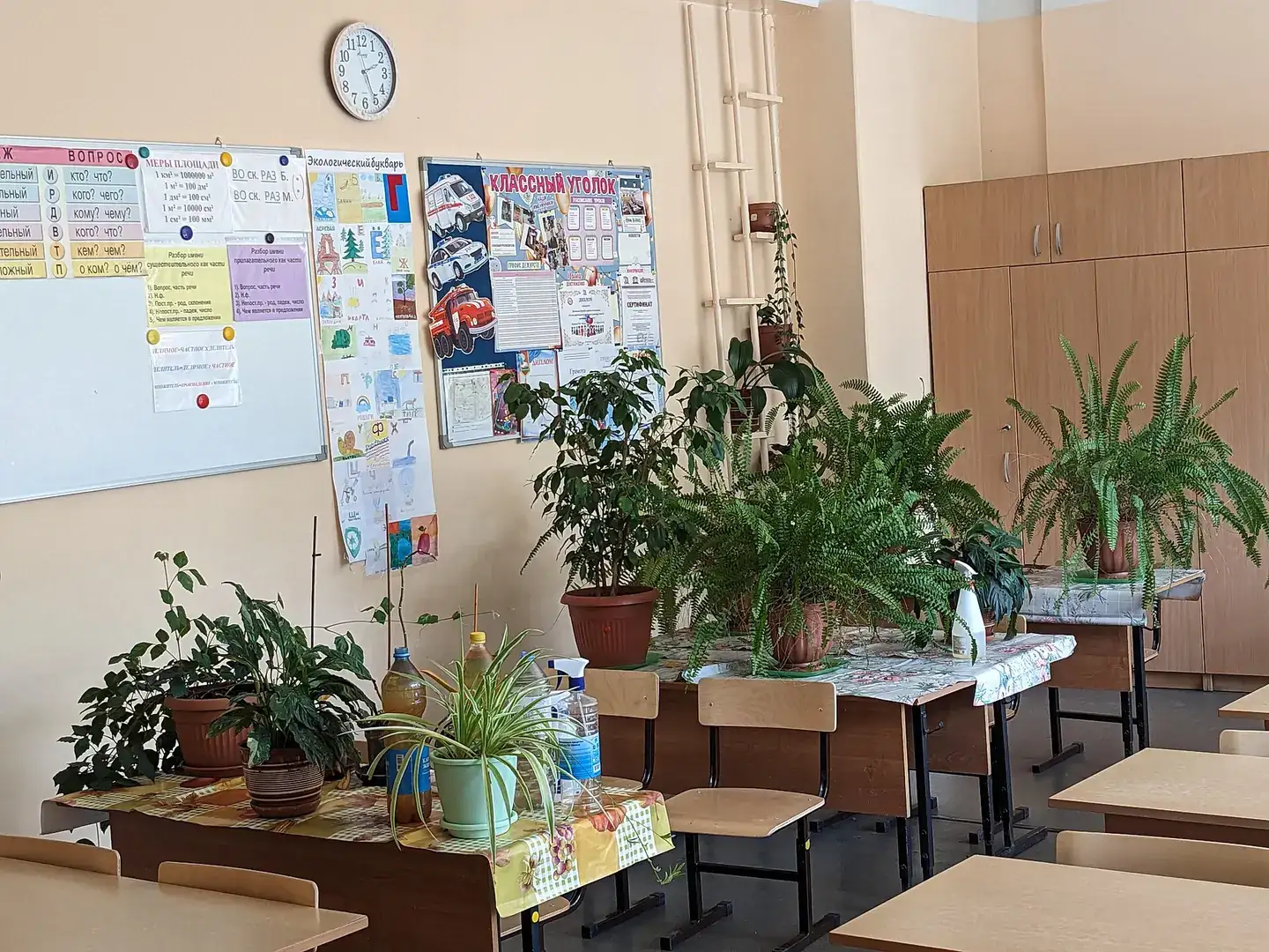Summer empty classroom, potted flowers on tables, 2023