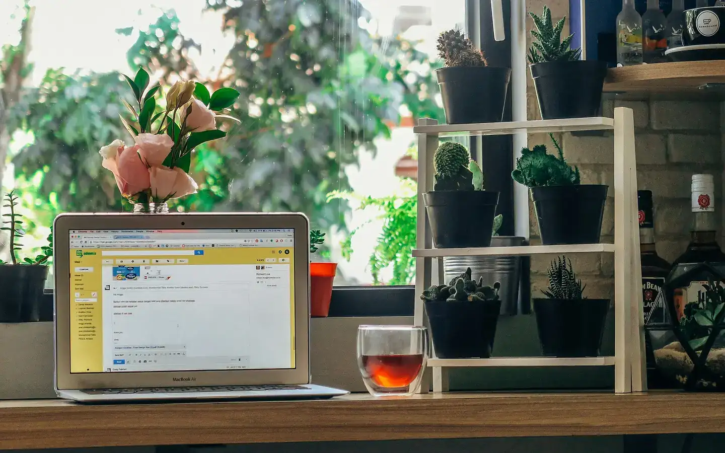 A laptop on a desk beside houseplants